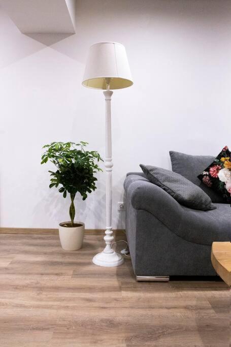 Le Logis D'Alsace, Wifi,Tv,Parking,70 M2 Apartment Ettendorf Bagian luar foto